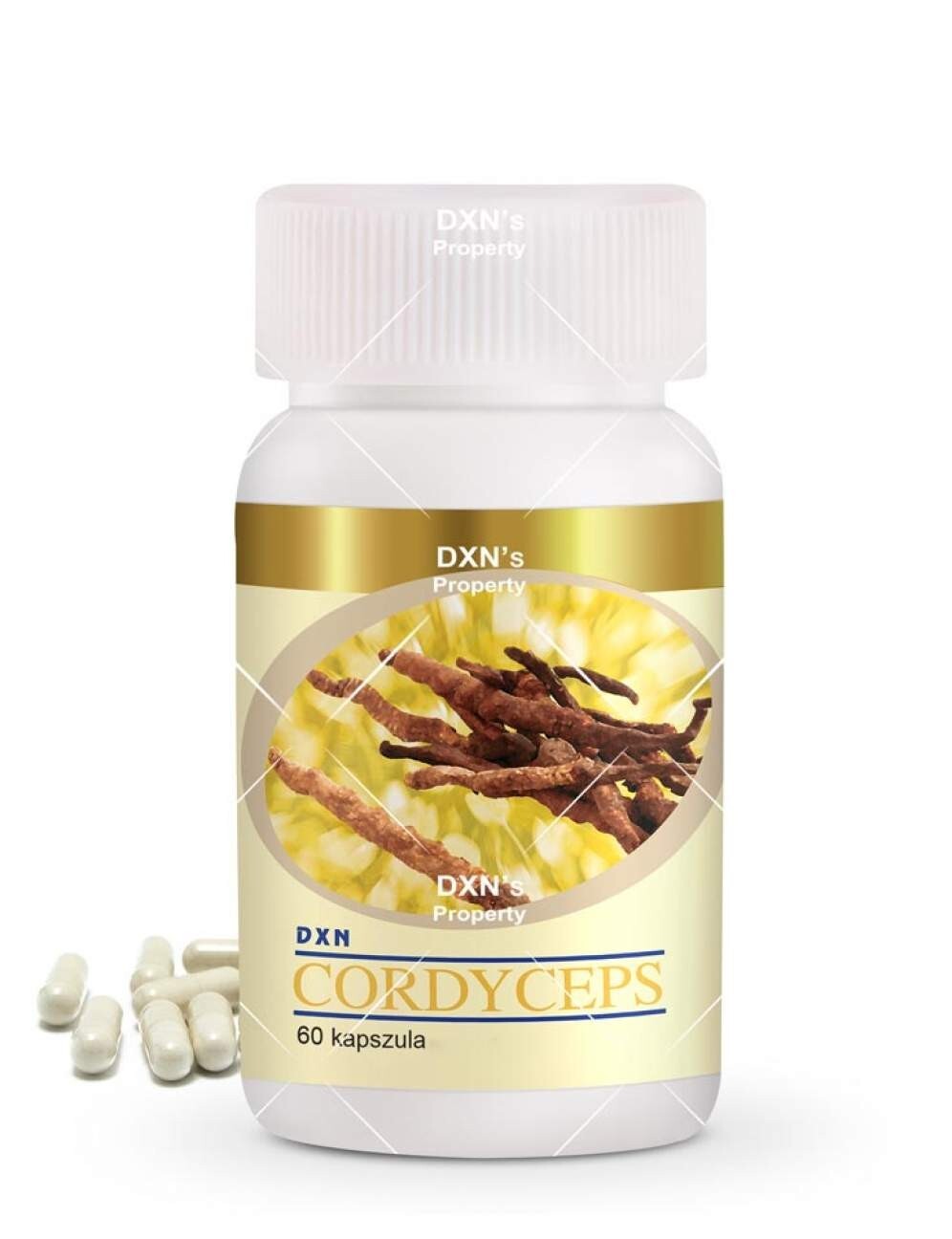 DXN Cordyceps 60 capsules de 525 mg complément vitalité naturelle