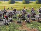 28mm DPS painted High Medieval Western Europe Dismounted Foot Knights 18 HW226