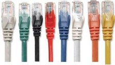 Intellinet 100ft CAT5E UTP Ethernet RJ45 Patch Cable BK