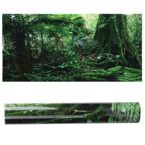 PVC Reptile Box Rainforest Background Poster Fish Tank Wall Picture Painting Fst