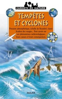 Tempêtes et cyclones von Toutain, Sylvie-Caroline | Buch | Zustand gut