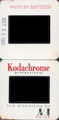 V463 Original 35mm Slide Fine Art Nude Model Posing Risque Beauty 80s ...