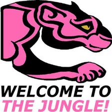 30 Custom Pink Jungle Cat Personalized Address Labels