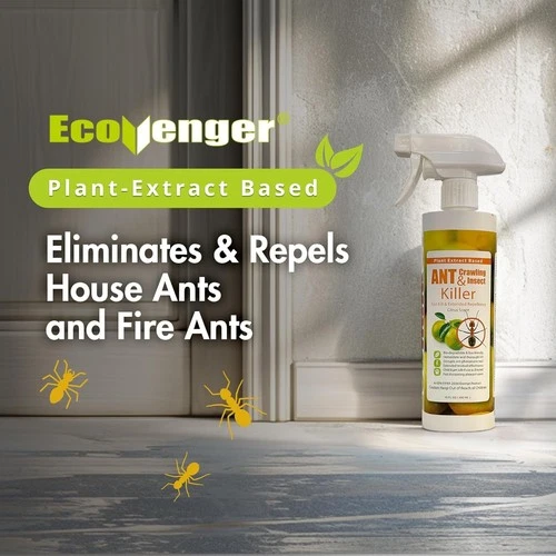 EcoRaider Ant & Insect Killer