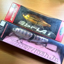 Timber Flash Jr. Amago und S-flat dace evergreen