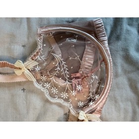 Agent Provocateur Ambrose Underwire Silk Sheer Bra 36D Pink Luxury Sexy Intimate