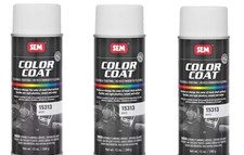 COLOR COAT - White SEM-15313 Brand New! (3 Pa...