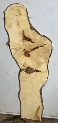 D40 Flaming box Elder Burl  Live Edge 46x 15x 1.1/8  8%mc