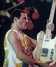 FREDDIE MERCURY PHOTO EXCLUSIVE IMAGE 1984 UNIQUE UNRELEASED 12 X 8 INCHES GEM