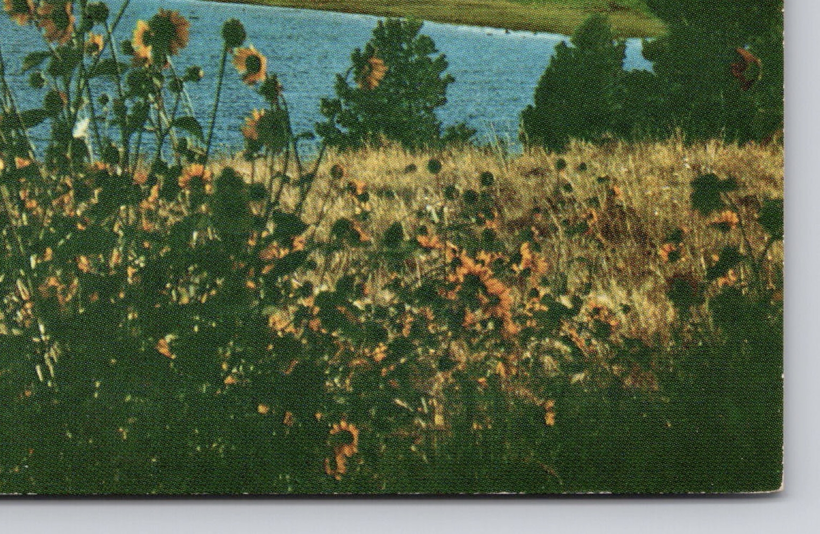 Picture 10 of 14