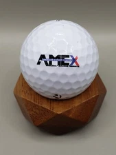 AMEX Logo Golf Ball TaylorMade Collectors Display Ball American Export