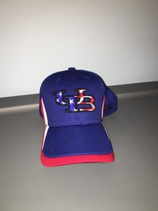 buffalo bulls new era hat