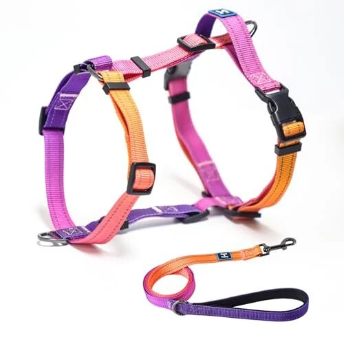 Dog Harness with Leash, No Pull Adjustable Harness Leash, Medium Mistyrose