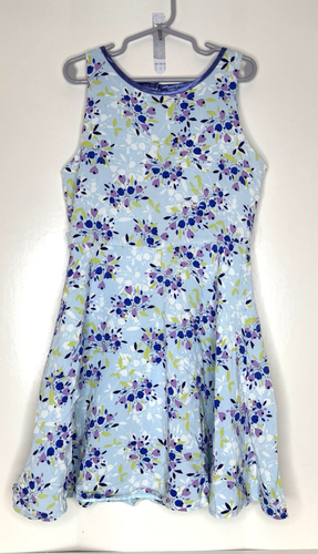 American Girl Girls size 10 Dress Light Blue Floral Garden Print Sleeveless