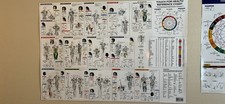 Touch for Health Kinesiology Reference Chart