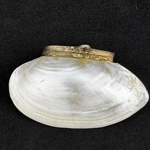 Vintage Mother of Pearl Shell Snuff Trinket Pill Box Hinged Lid Seashell