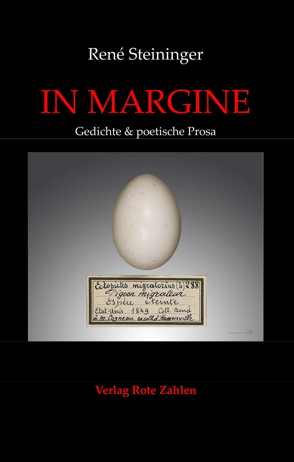 In Margine | Buch | 9783944643779