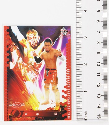 Akira Tozawa - 2016 BBM Dragon Gate Pro-Wrestling Trading Card | eBay