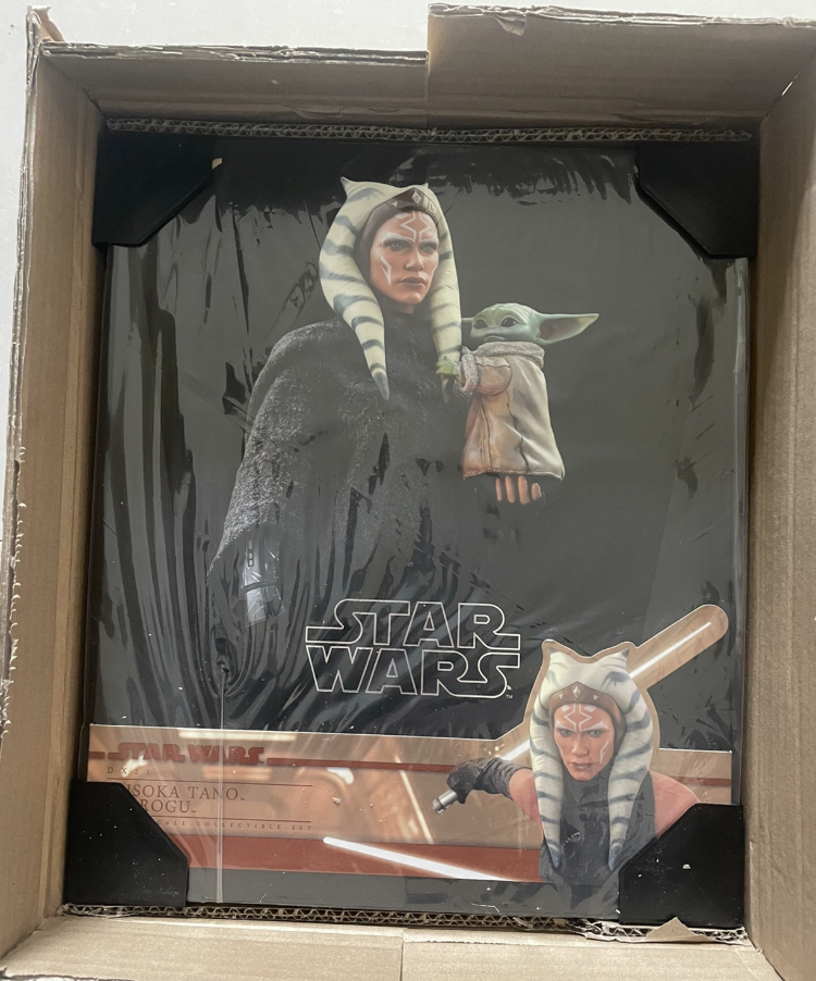 Ready! Hot Toys DX21 STAR WARS THE MANDALORIAN 1/6 AHSOKA