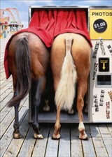 Horses In Photo Booth Funny Birthday Card - Greeting Card by Avanti