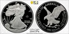 2025-W Proof $1 American Silver Eagle Laser Privy PR69DCAM First Strike Gold