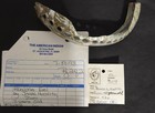 ABALONE EEL - JONAS HUSTITO AT 11 YRS. OLD. PERFECT!  PROOF OF PURCHASE - RARE! — photo 8