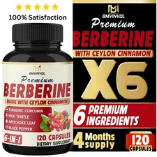 Premium Berberine with Ceylon Cinnamon 12,000mg 120 Caps Heart Health & Immune.