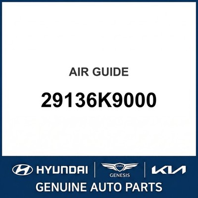 2019-2022 Hyundai Veloster N Air Guide OEM New 29136K9000