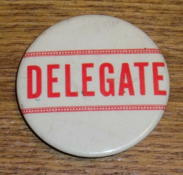 Vintage DELEGATE Pinback Button - 2 3/16