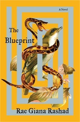 The Blueprint (Hardback or Cased Book)