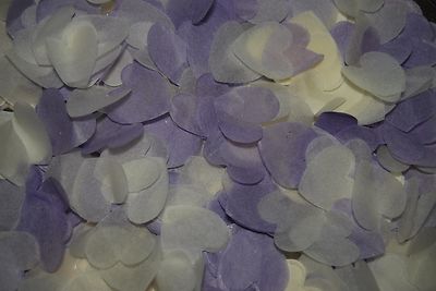Lavendel & Weiß biologisch abbaubares Konfetti - Liebe Herzen - Menge / Zapfen wählbar