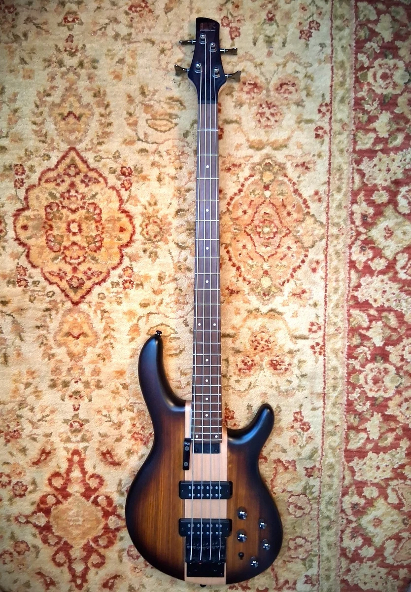 アイバニーズ SDGR SR300 後期型 Ibanez Sr300 for sale - eBay