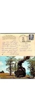 1960 WV Cass Scenic RR Postcard: Steam Train Mountain Vista; Litho WV RR
