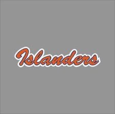 New York NY Islanders 3 NHL Team Pro Sports Vinyl Sticker Decal Car Window Wall