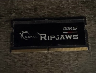 G.SKILL Ripjaws DDR5-5200 SO-DIMM  16GB  Intel XMP RAM F5-5200S3838A16GA 