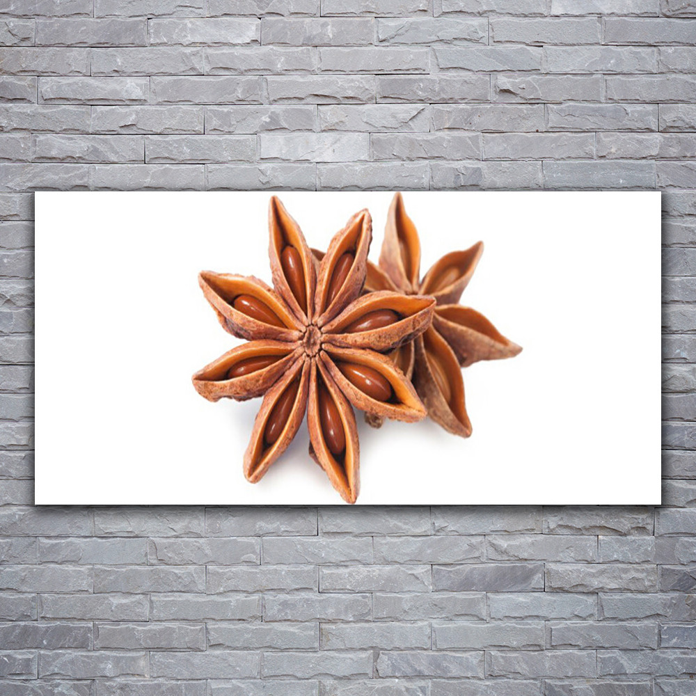 Tableau moderne floral cannelle photo sur toile 120x60 déco salon chic