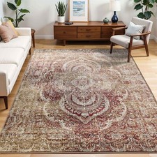 Salford Floral Medallion Abstract Distressed ...