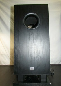 skw 100 subwoofer