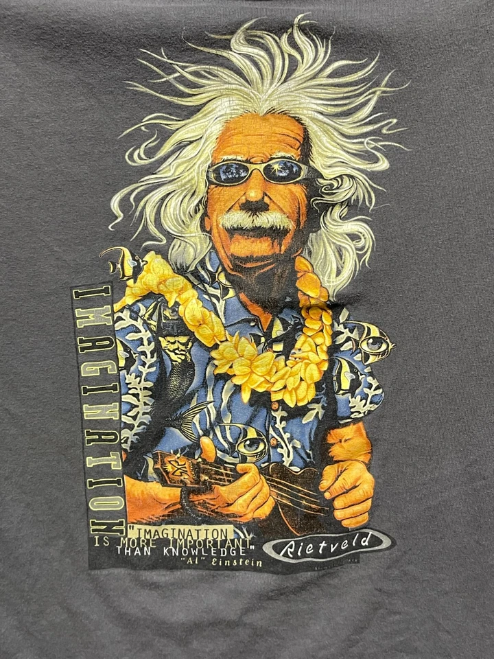 Camisa Rick Rietveld Albert Einstein Para Hombre Pequeña Gris Imaginación Estampado Gráfico Foto 2 de 4