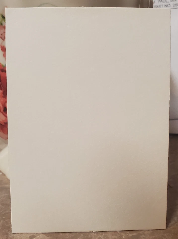 Chan Ho Park (RC) - 1994 Topps Finest - Parte posterior en blanco cromada corte caja superior 1/1 ¡RARO! Foto 2 de 2