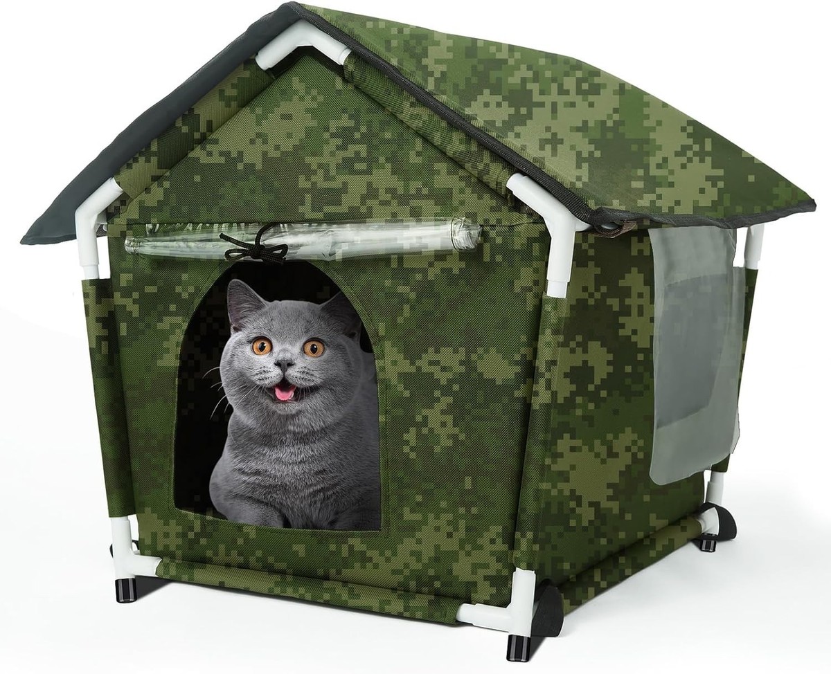 Cat Shelter Animal Rescue Places Dog Shelters And Rescues Near Me