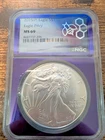 2025(P) American Silver Eagle With Eagle Privy! MS69 Purple Core!