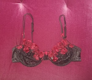 Vtg Fashion Bug 90s Bra 36D Black Mesh Red Roses Embroidery Gothic Unlined