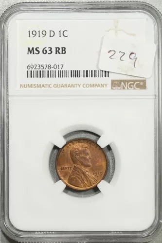 1919 D Lincoln Wheat Cent 1c NGC MS 63 RB Uncirculated #8-017
