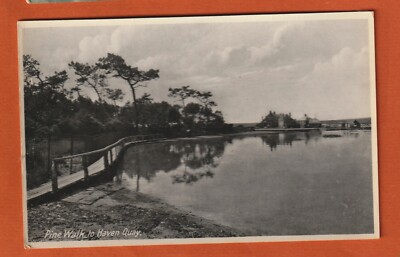 Echtfoto Postkarte, Pine Walk to Haven Quay