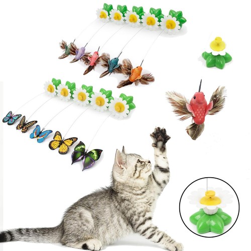 para mascotas gato cachorro interactivos mariposa/pájaro giratorio | eBay