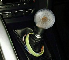 Universal 54mm Racing Crystal Ball Dandelion Real Flowers Shift Knob Shift Head Universal 54mm Racing Crystal Ball Dandelion Real Flowers Shift Knob Shift Head