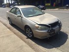 Foto 11 di 12