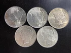1922 lot 5 silver dollar peace ungraded shiny