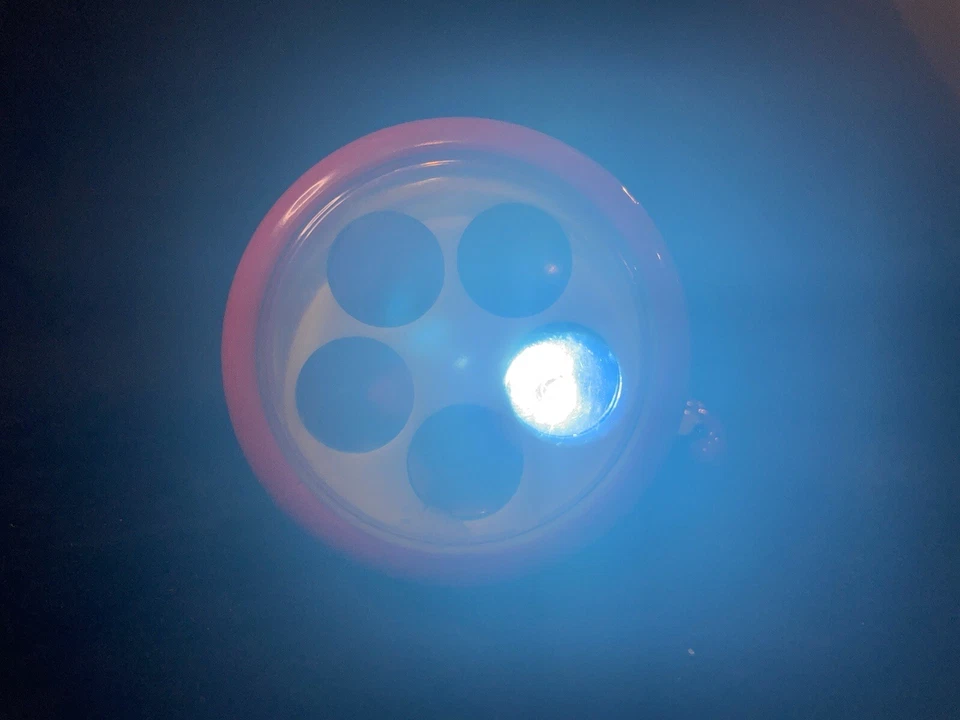 Vtech Animal Flashlight - Image 4 of 4